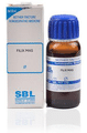 SBL Filix Mas Mother Tincture Q thumbnail