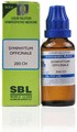 SBL Symphytum Officinale Dilution 200 CH thumbnail