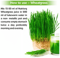 Nutriorg Wheat Grass Juice with Giloy & Tulsi thumbnail