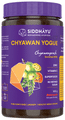 Siddhayu Chyawan Yogue Chyawanprash Sugar Free thumbnail