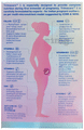 PlusPlus Trimacare 1 Prenatal MultiVitamins for Pregnancy Tablet thumbnail