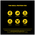 Muscle Monk Whey Intense High Strength Whey Protein Blend Royal Chocolate thumbnail