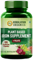 Himalayan Organics Organic Iron Supplement Vegetarian Capsule thumbnail