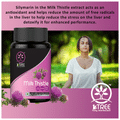 1 Tree Milk Thistle Veg Capsule thumbnail