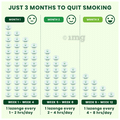 Nixit Nicotine 2mg Lozenge (10 Each) Frost mint Sugar Free thumbnail