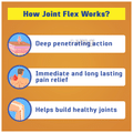 JointFlex Pain Relief Massage Oil (120ml Each) thumbnail