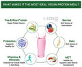 Inlife Vegan Protein Powder Meal Shake with Added Probiotics Mixed Berry thumbnail