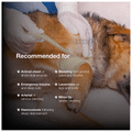 Sure Klot Stop-Bleeding Dressing Veterinary Gauze 7.60x50cm thumbnail