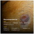Sure Klot Combo Pack of Rapid Action Wound Spray Veterinary 100ml & Rapid Action Wound Powder Veterinary 10ml thumbnail