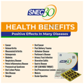 Snec 30 Liquid Turmeric Curcumin Capsule US Patent thumbnail