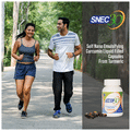Snec 30 Liquid Turmeric Curcumin Capsule US Patent thumbnail