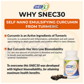 Snec 30 Liquid Turmeric Curcumin Capsule US Patent thumbnail