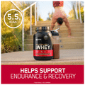 Optimum Nutrition (ON) Gold Standard 100% Whey Protein Isolate Powder Double Rich Chocolate thumbnail