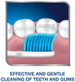 Sensodyne Sensitive Toothbrush Buy 2 Get 1 Free thumbnail