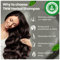 TNW- The Natural Wash Herbal Shampoo thumbnail