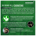Nutracology L Carnitine 1000mg Capsule thumbnail