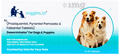 Wiggles Deworminator Dewormer Tablet for Dogs & Puppies thumbnail