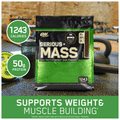 Optimum Nutrition (ON) Serious Mass High Protein Weight Gain Powder Chocolate thumbnail