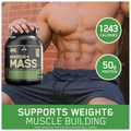 Optimum Nutrition (ON) Serious Mass High Protein Weight Gain Powder Chocolate thumbnail
