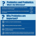 Carbamide Forte Probiotics 2.75 Billion cfu + Prebiotics 100mg Vegetarian Capsule thumbnail
