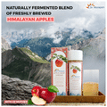 Dr. Morepen Apple Cider Vinegar with 2X 'Mother' thumbnail
