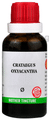 Bjain Crataegus Oxyacantha Mother Tincture Q thumbnail