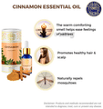 Divine Aroma Ayurvedic 100% Natural Pure Essential Oil Cinnamon thumbnail
