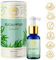 Divine Aroma Ayurvedic 100% Natural Pure Essential Oil Eucalyptus thumbnail