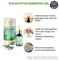 Divine Aroma Ayurvedic 100% Natural Pure Essential Oil Eucalyptus thumbnail