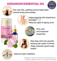 Divine Aroma Ayurvedic 100% Natural Pure Essential Oil Geranium thumbnail