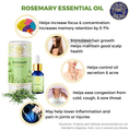 Divine Aroma Ayurvedic 100% Natural Pure Essential Oil Rosemary thumbnail