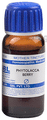 SBL Phytolacca Berry Mother Tincture Q thumbnail