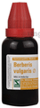 Dr Willmar Schwabe India Berberis Vulgaris Mother Tincture Q thumbnail