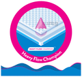 Paree Heavy Flow Champion Wetness Free Protection Sanitary Pads thumbnail