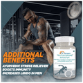 Dr. Morepen Testosterone Booster Tablet thumbnail