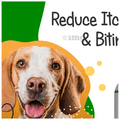 Frisky Paws Anti-Tick & Flea Oil for Pets with Neem Oil & Triphala (200ml Each) thumbnail