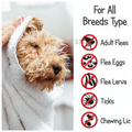 Frisky Paws Anti-Tick & Flea Oil for Pets with Neem Oil & Triphala (200ml Each) thumbnail