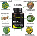 Jeevan Sanjeevani N-Detox Tablet thumbnail