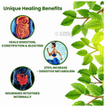 Jeevan Sanjeevani Colon Health Tablet thumbnail