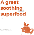 TeaNourish Turmeric Ginger Herbal Tea thumbnail