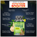Nutrainix Organic & Plant-Based Testosterone Booster Vegetarian Capsule thumbnail