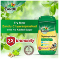 Zandu Chyavanprashad Sugar Free thumbnail