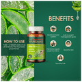 Vansaar Aloe Vera Tablet thumbnail
