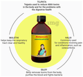 Baidyanath Ashokarishta Syrup thumbnail