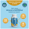 Tata 1mg Senior 50+ Multivitamin & Multimineral Immunity Booster Zinc, Vitamin C, Calcium, and Vitamin D Veg Tablet thumbnail