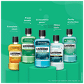 Listerine Cool Mint Mouth Wash thumbnail