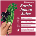 Baidyanath (Noida) Karela Jamun Juice thumbnail