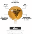 Chai Spa Green Tea Urja thumbnail