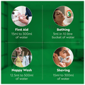 Dettol Antiseptic Disinfectant Liquid thumbnail
