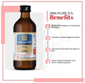 Aimil Amlycure DS Syrup thumbnail